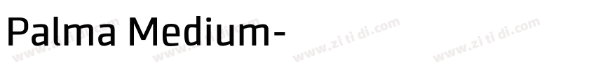Palma Medium字体转换